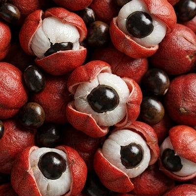 Guarana extract