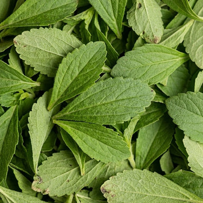 Steviol glycosides from Stevia